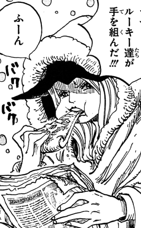 Jewelry_Bonney_Manga_Post_Timeskip_Infobox