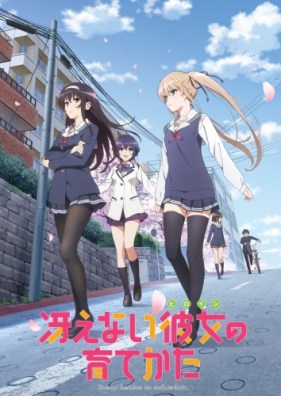 Saenai-Heroine-no-Sodatekata